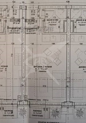 Studie Kiten, region Burgas 1