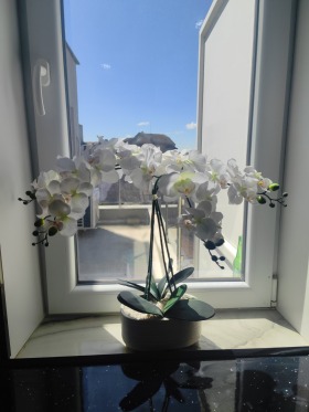 , ,  159 900 EUR //, 75 .