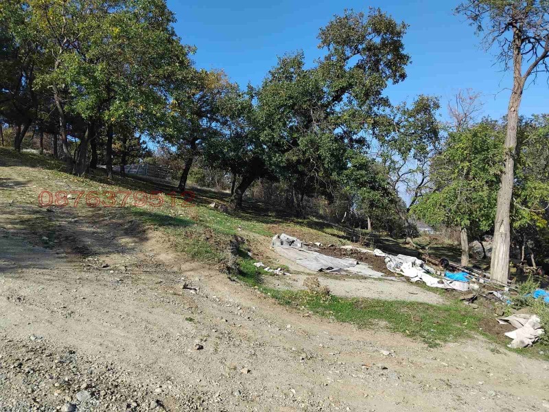 Продава ПАРЦЕЛ, с. Брестник, област Пловдив, снимка 3 - Парцели - 52960745