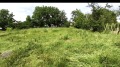 Продава КЪЩА, област Русе, с. Мечка • 85000 лв. / 43459.81 € • 19236229 6