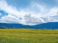 Продава  Парцел град Шумен , Промишлена зона , 1000 кв.м | 97590452