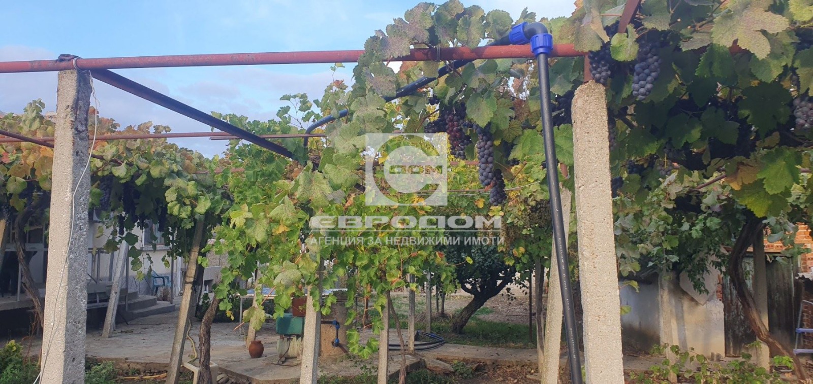 ������� ���� | Imot.bg � ����������� 6