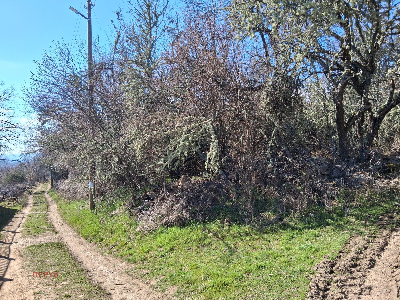 ������� ������ | Imot.bg � ����������� 7