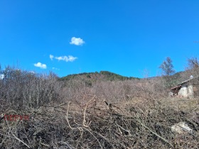 ������� ������ | Imot.bg � ����� ������ 9