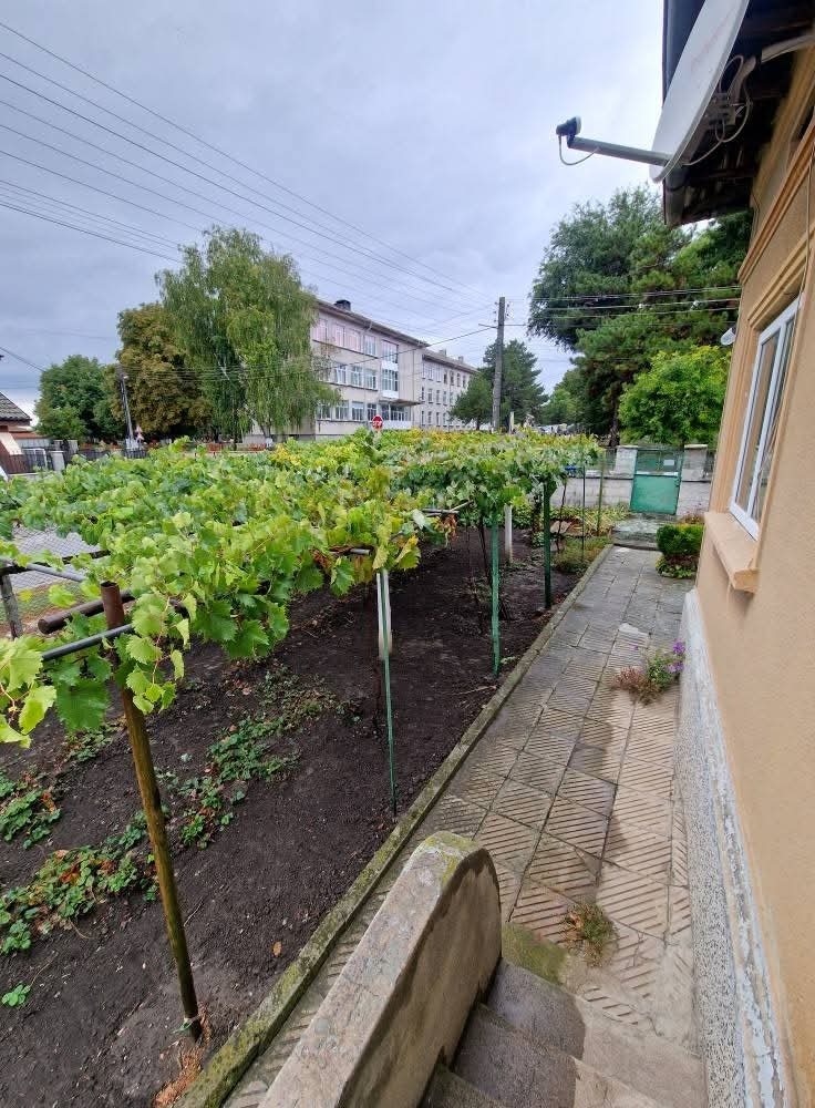 Продава КЪЩА, с. Победа, област Добрич, снимка 13 - Къщи - 52635127