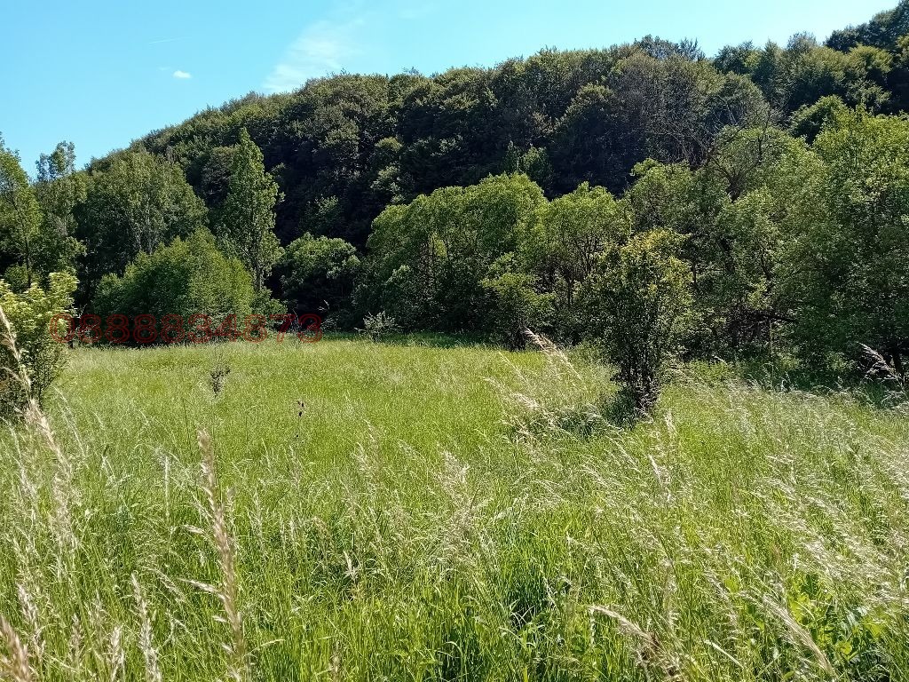 Продава ПАРЦЕЛ, с. Гинци, област София област, снимка 3 - Парцели - 54225344