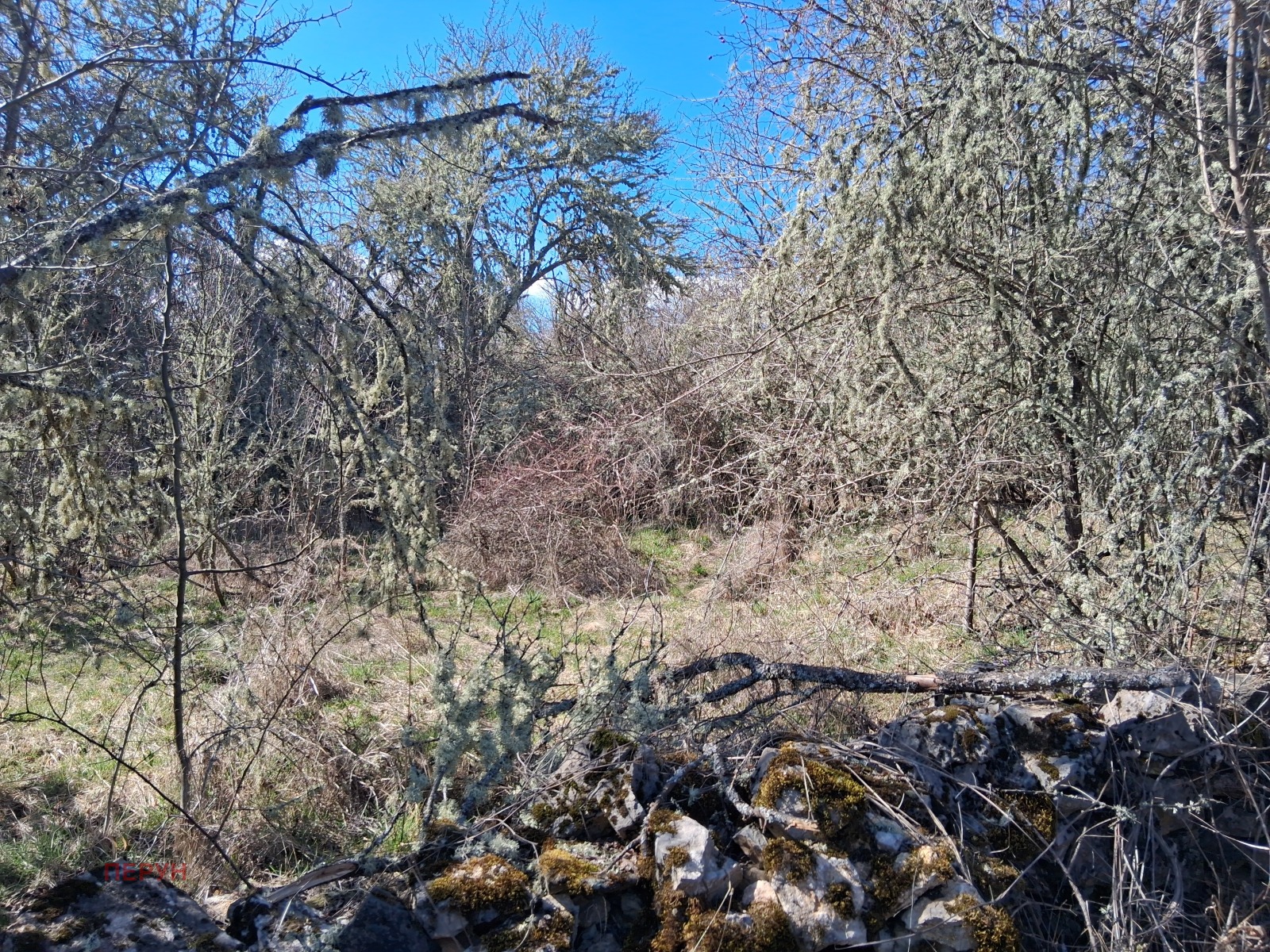 Продава ПАРЦЕЛ, с. Туроковци, област Перник