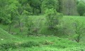 Продава ПАРЦЕЛ, с. Рибарица, област Ловеч, снимка 2