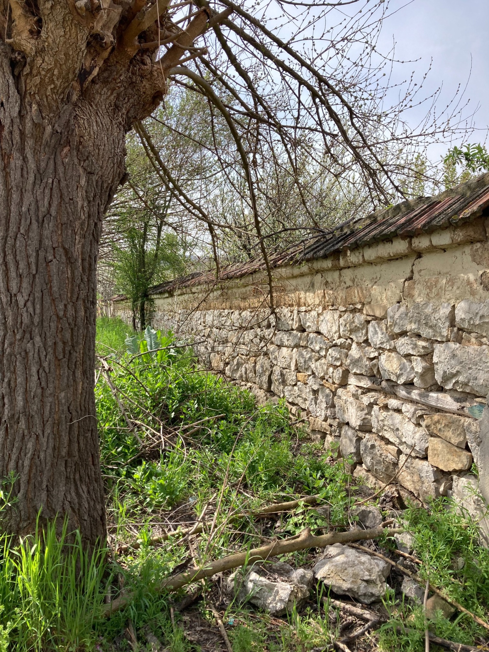 ������� ���� | Imot.bg � ����������� 11