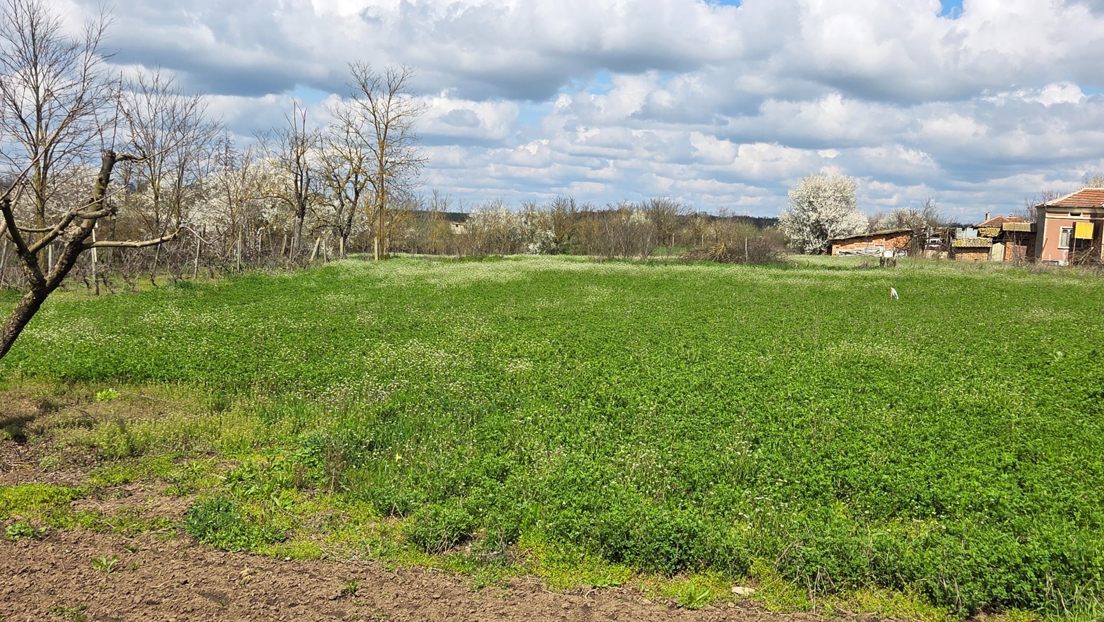 ������� ������ | Imot.bg � ����������� 1