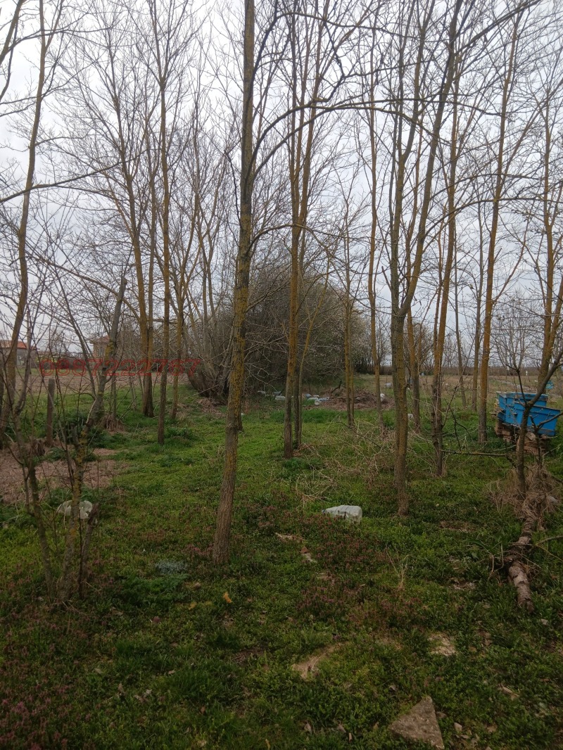 For Sale  House region Dobrich , Dabovik , 65 sq.m | 15907259 - image [9]