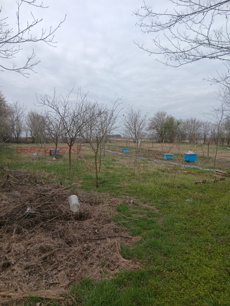 For Sale  House region Dobrich , Dabovik , 65 sq.m | 15907259 - image [10]