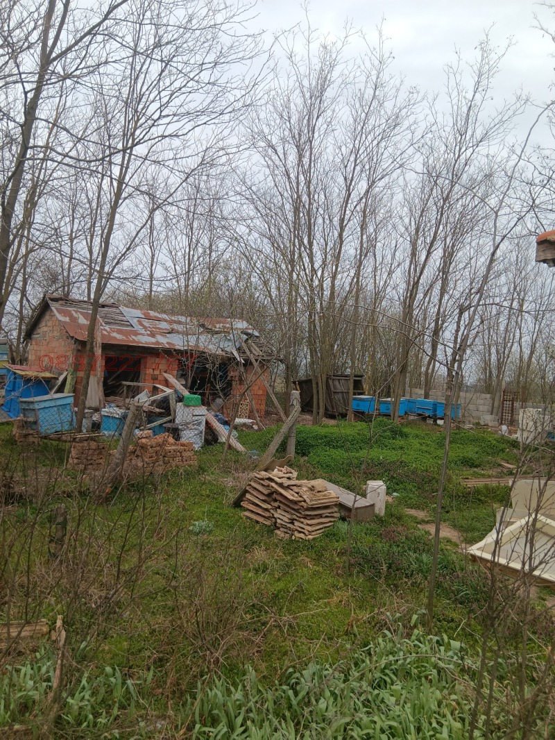 For Sale  House region Dobrich , Dabovik , 65 sq.m | 15907259 - image [8]