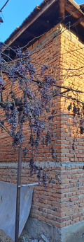 Продава КЪЩА, гр. Пазарджик, Устрем, снимка 3