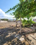 Продава КЪЩА, с. Огняново, област Пазарджик, снимка 3