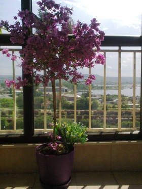  2- | Imot.bg    7