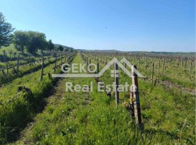 ������� ������ | Imot.bg � ����� ������ 2