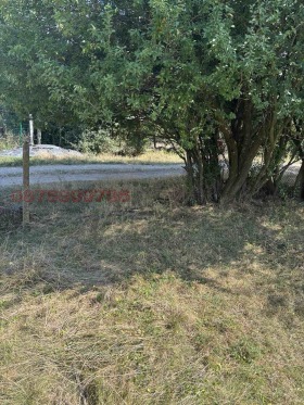 ������� ������ | Imot.bg � ����� ������ 8