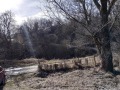 Продава ВИЛА, с. Доброглед, област Варна, снимка 2