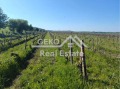 Продава ПАРЦЕЛ, гр. Бяла, област Варна, снимка 2