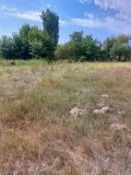 Продава ЗЕМЕДЕЛСКА ЗЕМЯ, с. Хаджиево, област Пазарджик, снимка 1 - Земеделска земя - 45581526