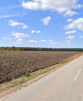 Земеделска земя с. Царичино, област Добрич 4