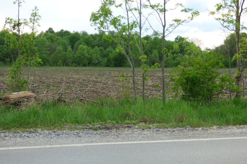Na sprzedaż  Działka region Chaskowo , Swilengrad , 7500 mkw | 40002038