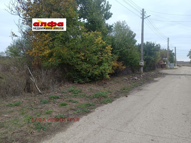 Продава ПАРЦЕЛ, с. Богдан, област Добрич, снимка 2 - Парцели - 52645029