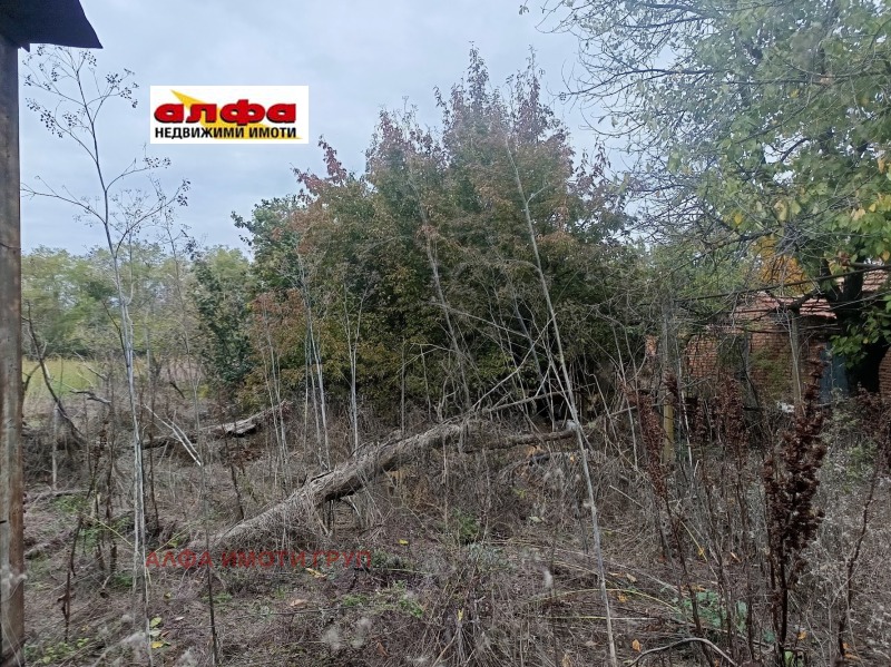 Продава ПАРЦЕЛ, с. Богдан, област Добрич, снимка 4 - Парцели - 52645029