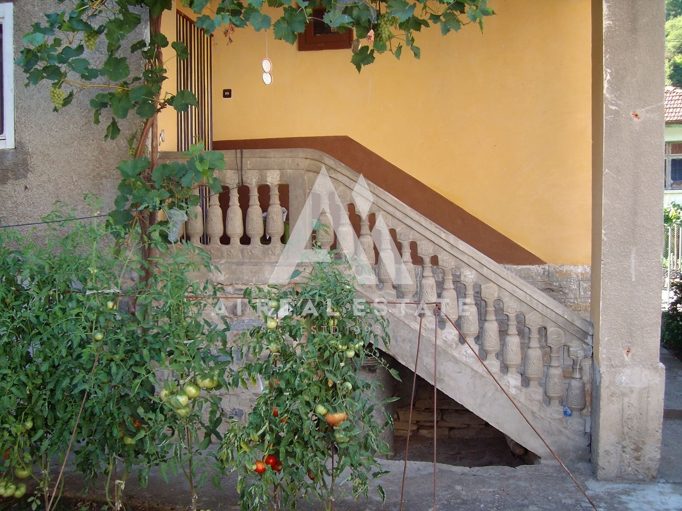 Продава КЪЩА, с. Чифлик, област Ловеч, снимка 5 - Къщи - 55308806