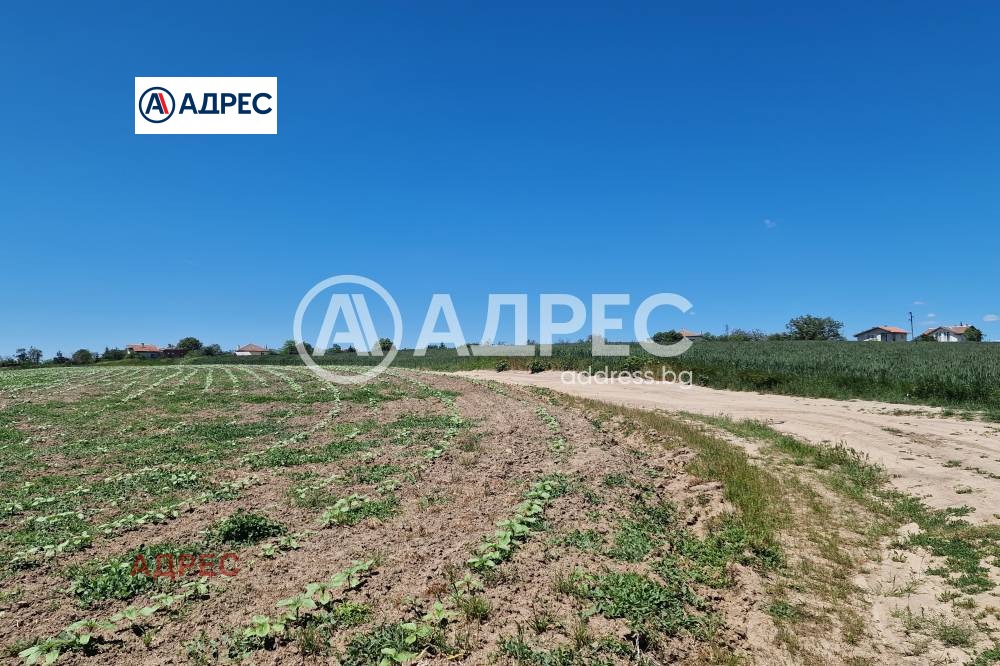 Продава ПАРЦЕЛ, с. Здравец, област Варна, снимка 2 - Парцели - 53914786