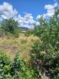 Продава ПАРЦЕЛ, с. Доброглед, област Варна, снимка 4