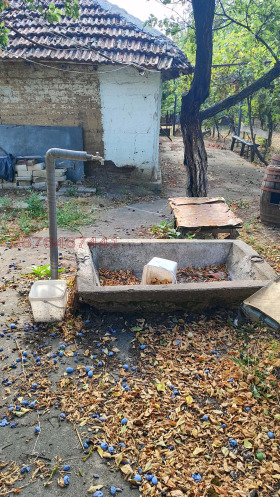 ������� ���� | Imot.bg � ����� ������ 2