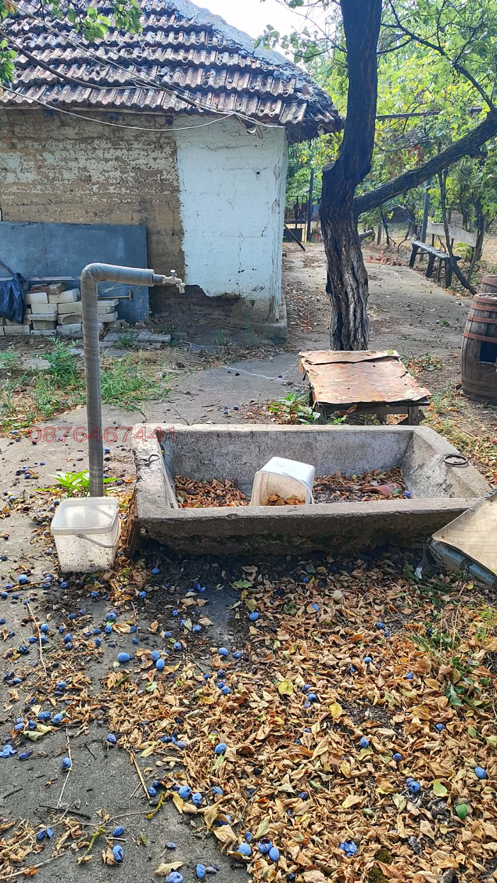 Продава КЪЩА, с. Ковачица, област Монтана, снимка 2 - Къщи - 55878483