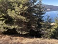Продава ПАРЦЕЛ, гр. Доспат, област Смолян, снимка 3
