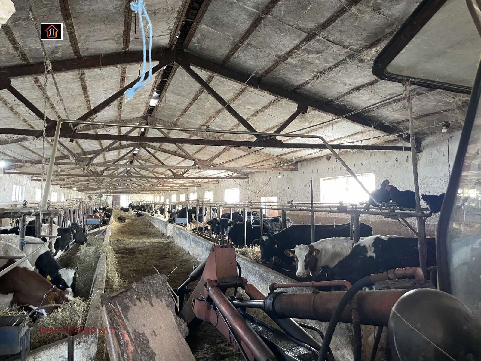 ������� ����� | Imot.bg � ����������� 10