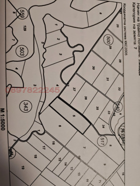 ����� ������� ���������� ����,��. �����, ������ �����