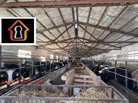 ������� ����� | Imot.bg � ����� ������ 4