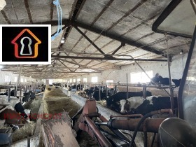 ������� ����� | Imot.bg � ����� ������ 10