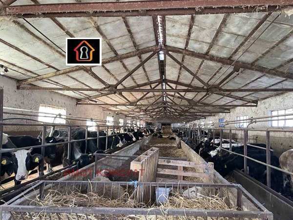 Продава БИЗНЕС ИМОТ, с. Мраморен, област Враца, снимка 4 - Други - 53536653