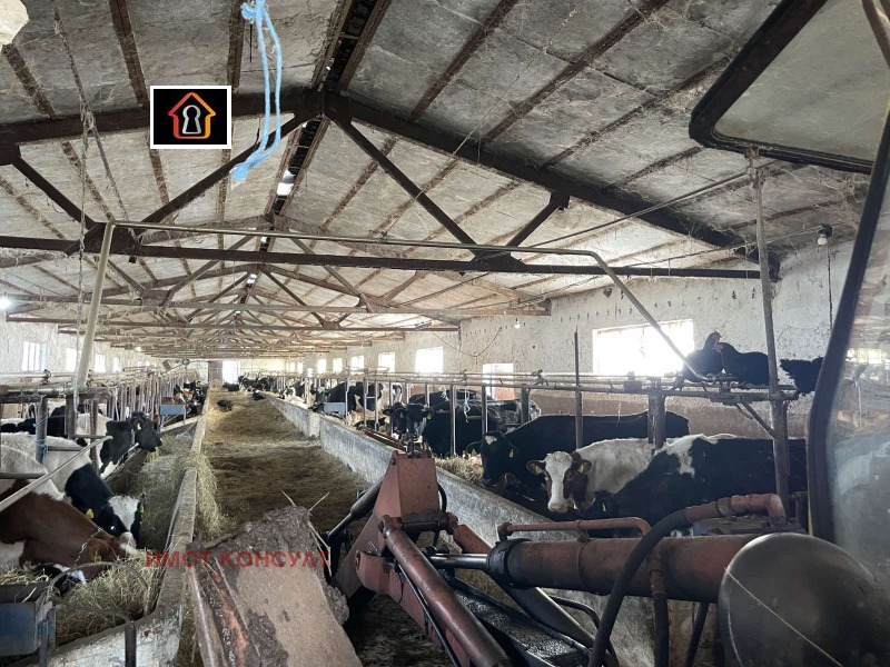 Продава БИЗНЕС ИМОТ, с. Мраморен, област Враца, снимка 10 - Други - 53536653