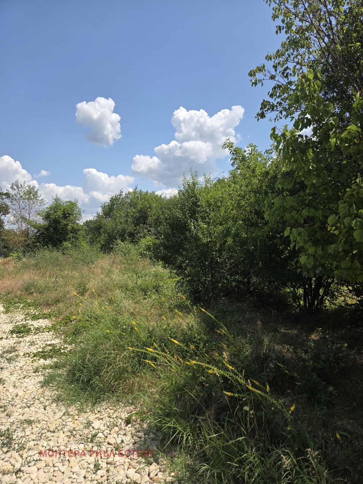 Продава ПАРЦЕЛ, с. Кичево, област Варна, снимка 5 - Парцели - 55187576