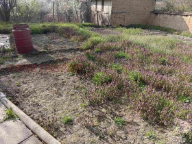 ������� ���� | Imot.bg � ����� ������ 17