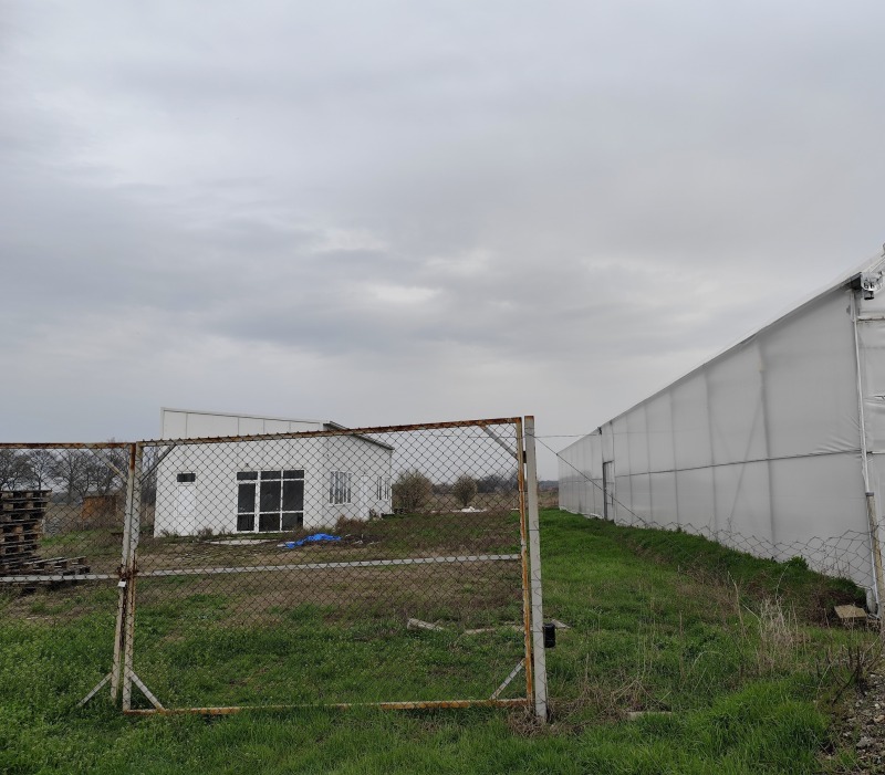 Продава БИЗНЕС ИМОТ, с. Братя Даскалови, област Стара Загора, снимка 14 - Други - 50637207