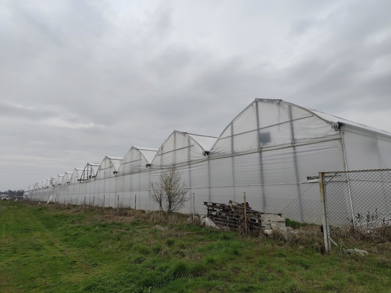 Продава БИЗНЕС ИМОТ, с. Братя Даскалови, област Стара Загора