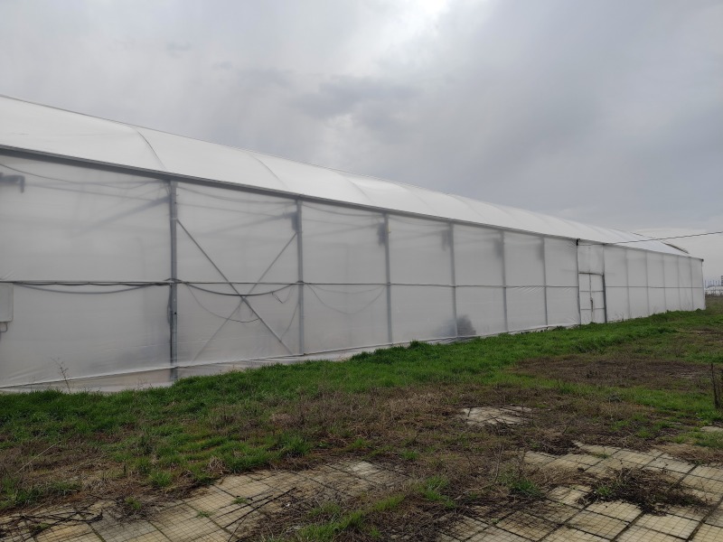 Продава БИЗНЕС ИМОТ, с. Братя Даскалови, област Стара Загора, снимка 10 - Други - 50637207