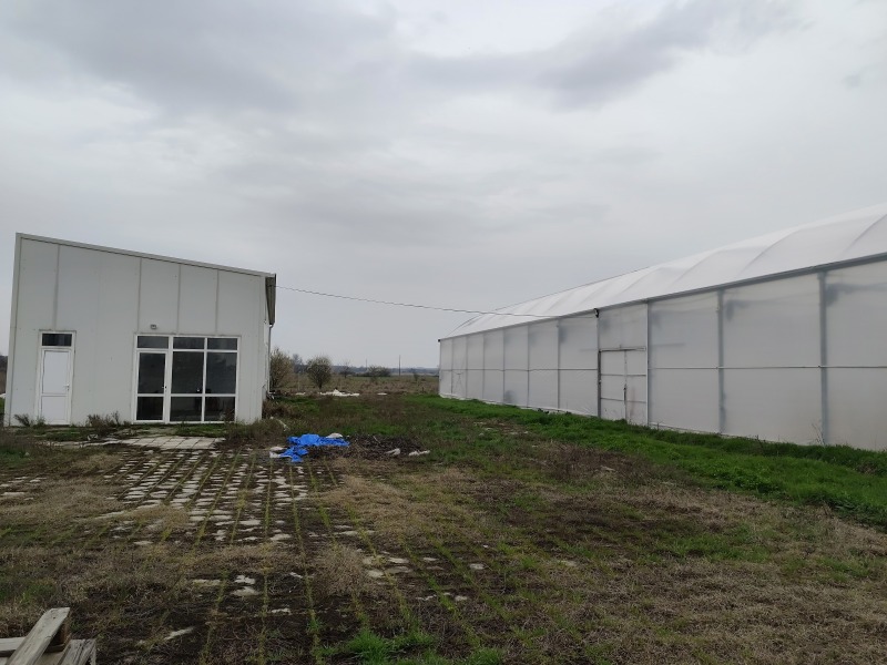 Продава БИЗНЕС ИМОТ, с. Братя Даскалови, област Стара Загора, снимка 12 - Други - 50637207