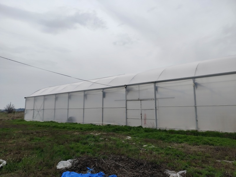 Продава БИЗНЕС ИМОТ, с. Братя Даскалови, област Стара Загора, снимка 13 - Други - 50637207