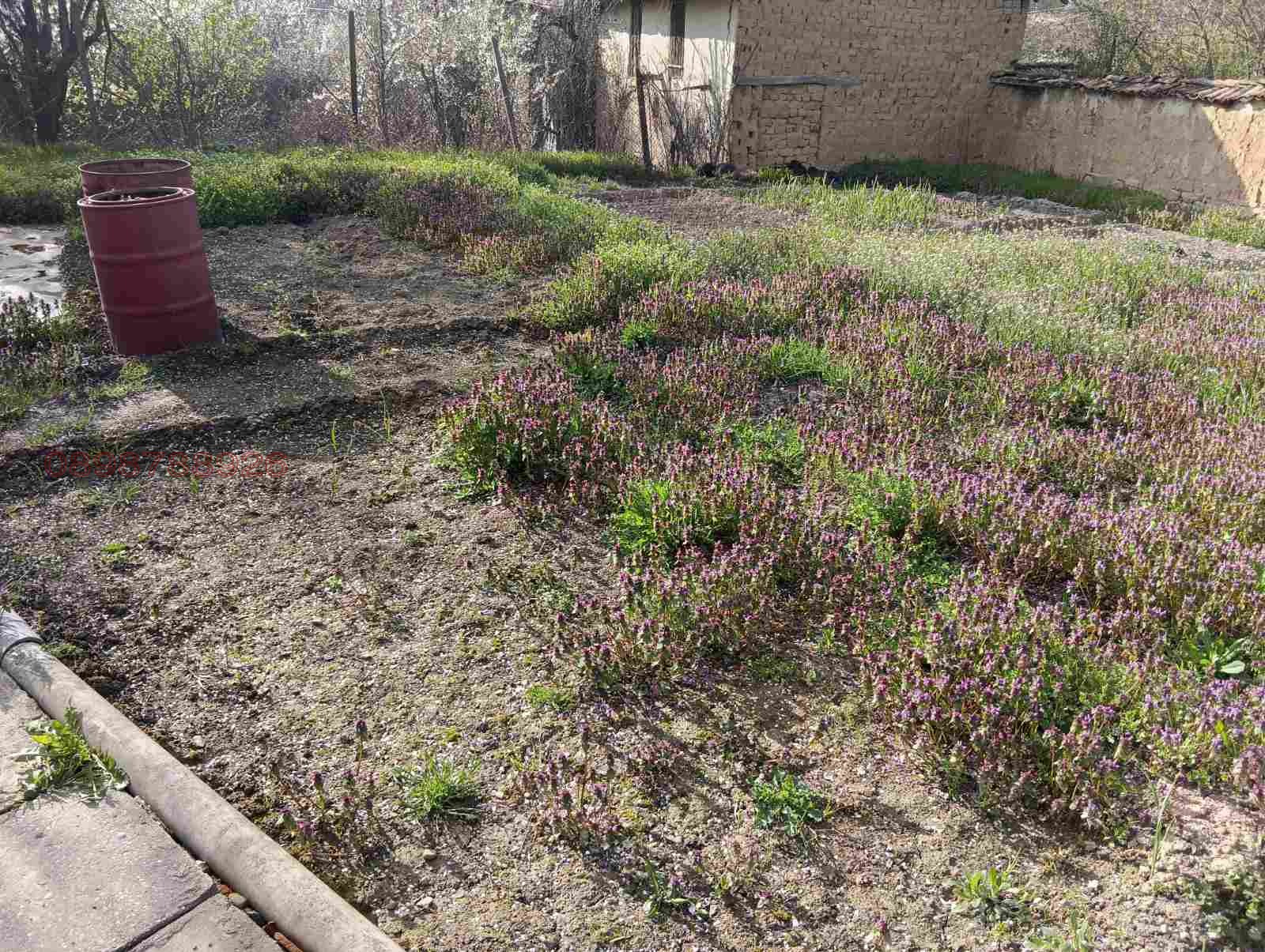 Продава КЪЩА, с. Веселиново, област Шумен, снимка 17 - Къщи - 54178899