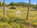 Продава ПАРЦЕЛ, с. Голица, област Варна, снимка 3